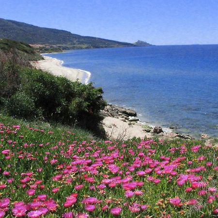 Residenza Sul Mare Aparthotel Valledoria  Bagian luar foto