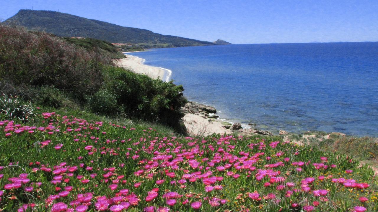 Residenza Sul Mare Aparthotel Valledoria  Bagian luar foto